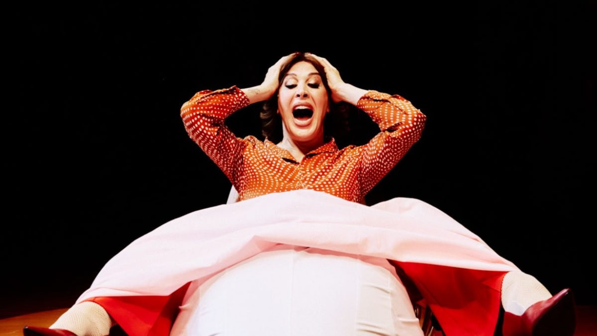 Cláudia Raia estreia comédia 'Cenas da Menopausa' em curta temporada no Teatro João Caetano