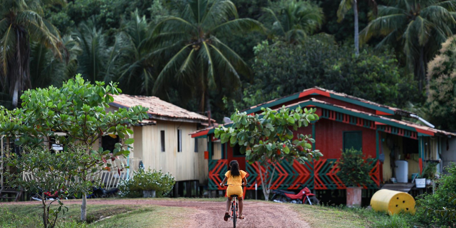 Amazônia Legal concentra quase metade dos conflitos no campo em 2023
