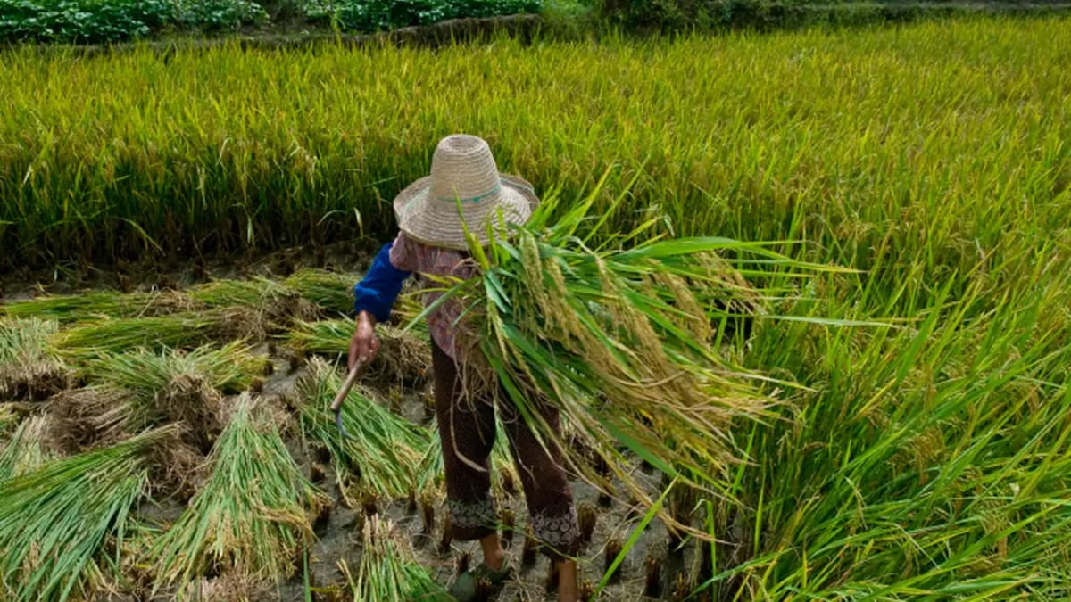 Diário Oficial da União promulga protocolo contra trabalho forçado