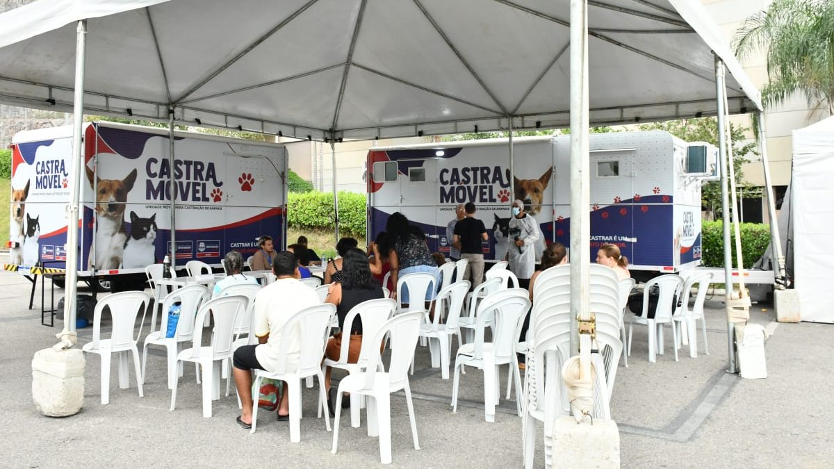 Nova Iguaçu inicia nova etapa de castração gratuita para cães e gatos