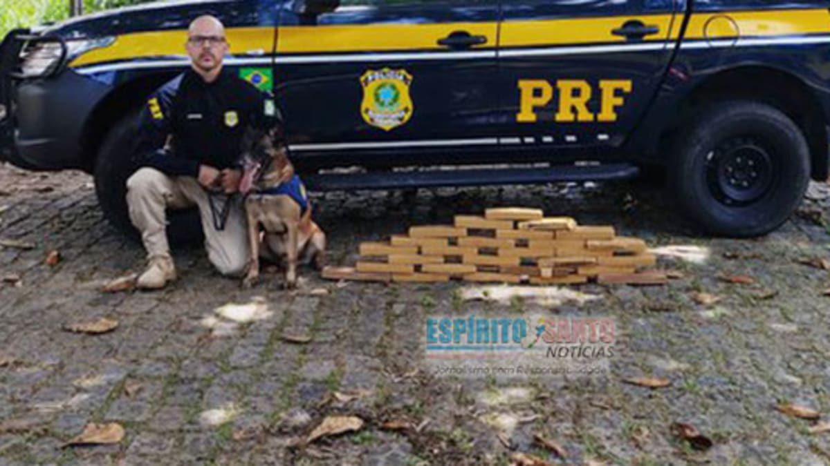 PRF apreende 21 quilos de maconha em ônibus interestadual em Guarapari