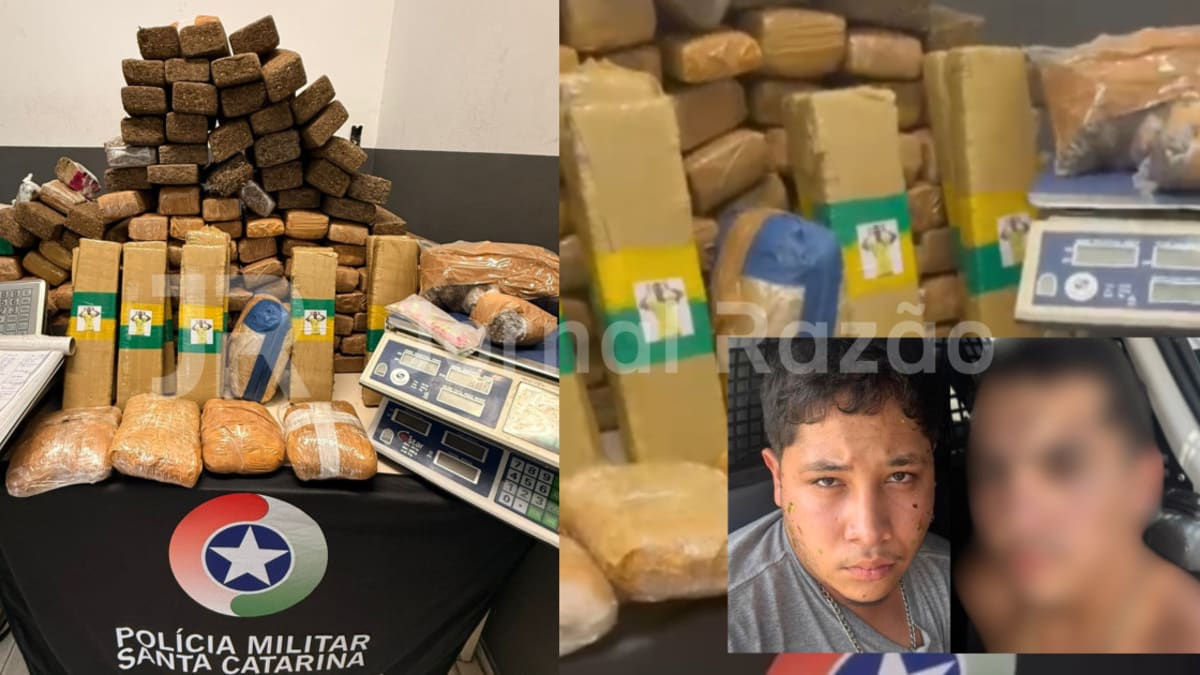 PMSC apreende quase 150 kg de drogas em operação no Campeche, Florianópolis