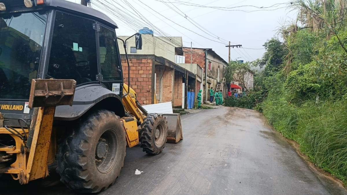 Chuva forte provoca queda de nove árvores e alagamentos em Belo Horizonte