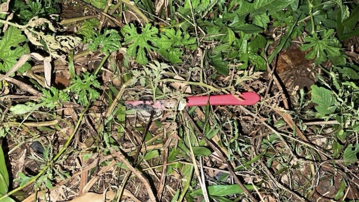 Visita para anunciar morte termina em tentativa de assassinato em Xanxerê