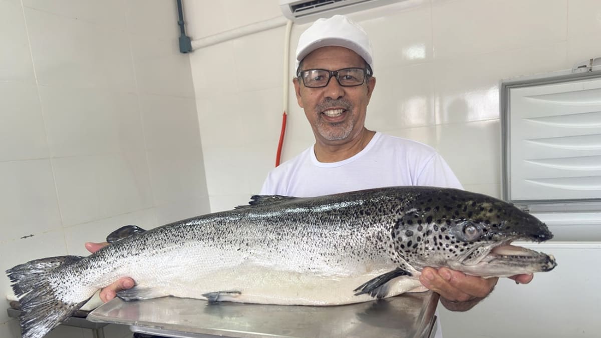 Demanda por peixes cresce no Mercado Municipal de Itacibá com início da Quaresma