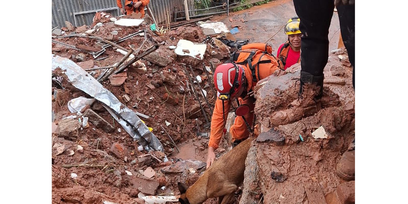 Jornalista Daniela Arbex fala sobre tragédia em Juiz de Fora