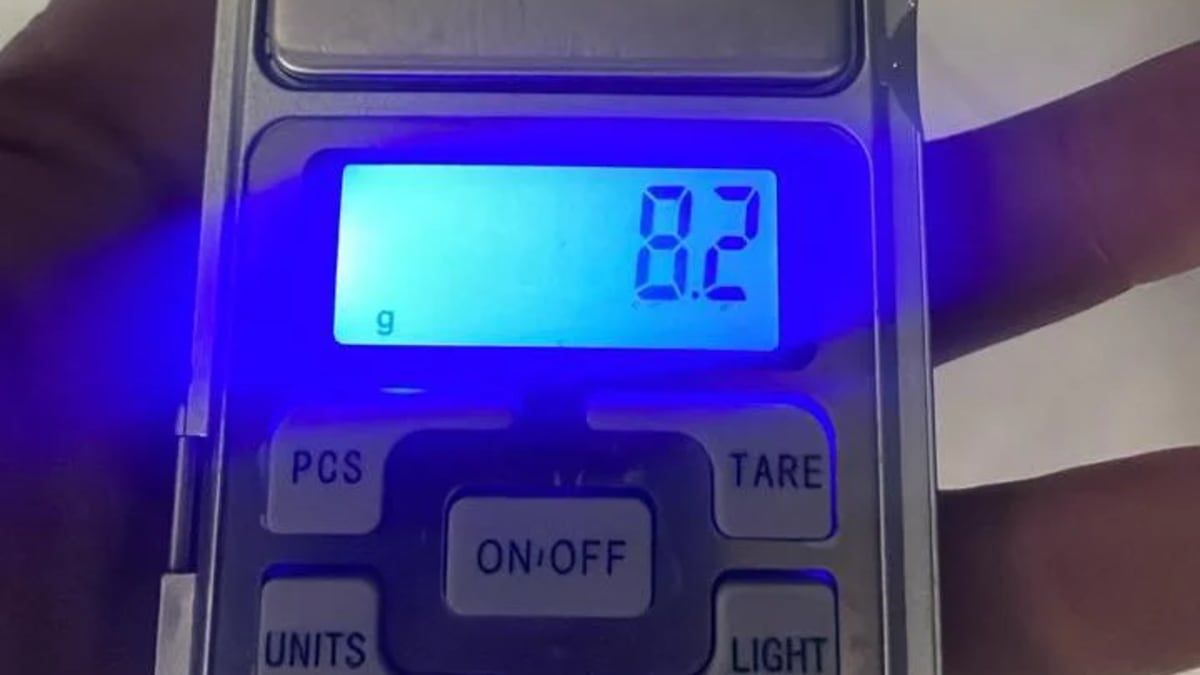 Uso de droga no Parque Harry Hobus termina com homem conduzido à delegacia