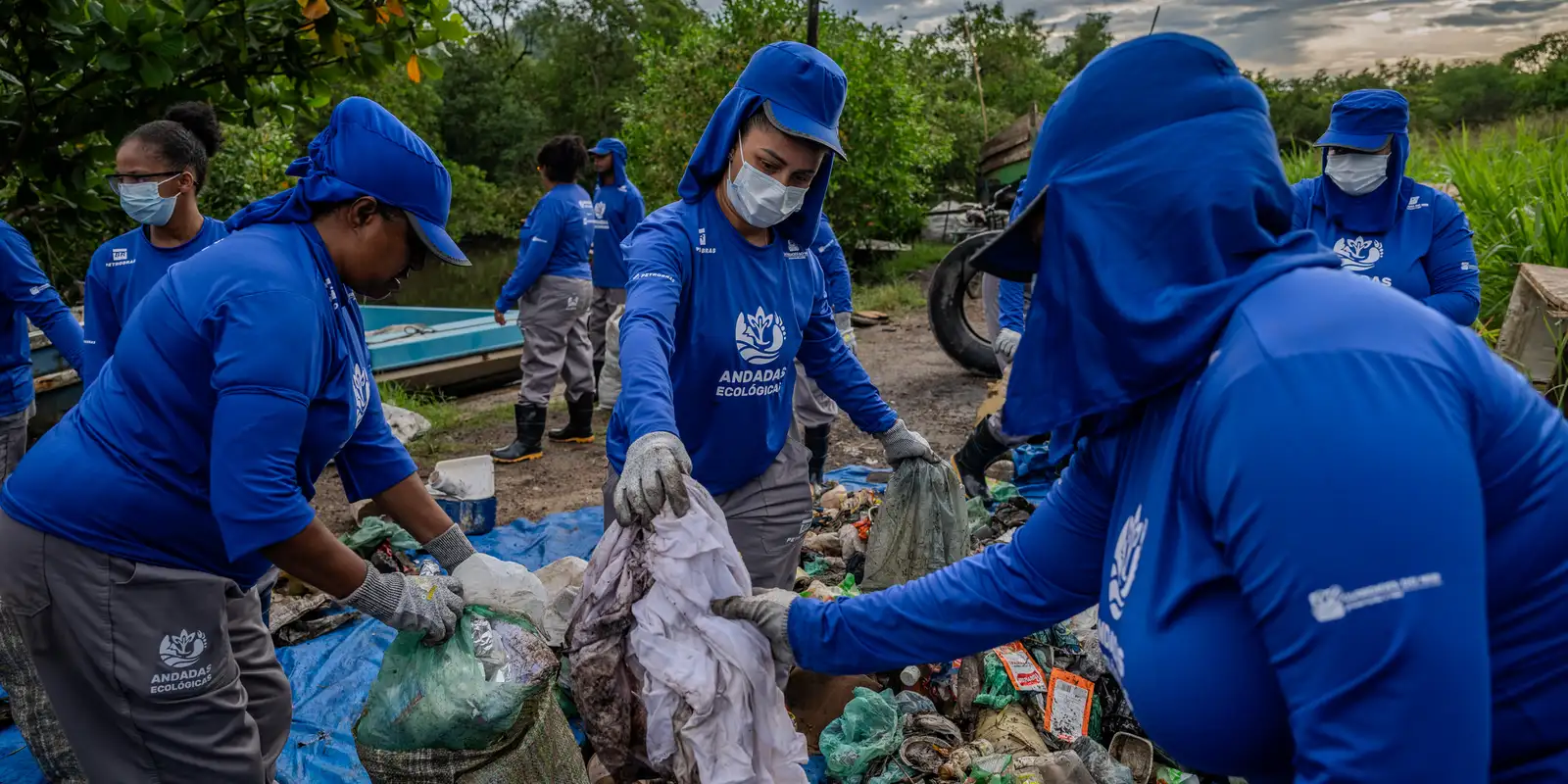 Projeto transforma manguezais na Baía de Guanabara