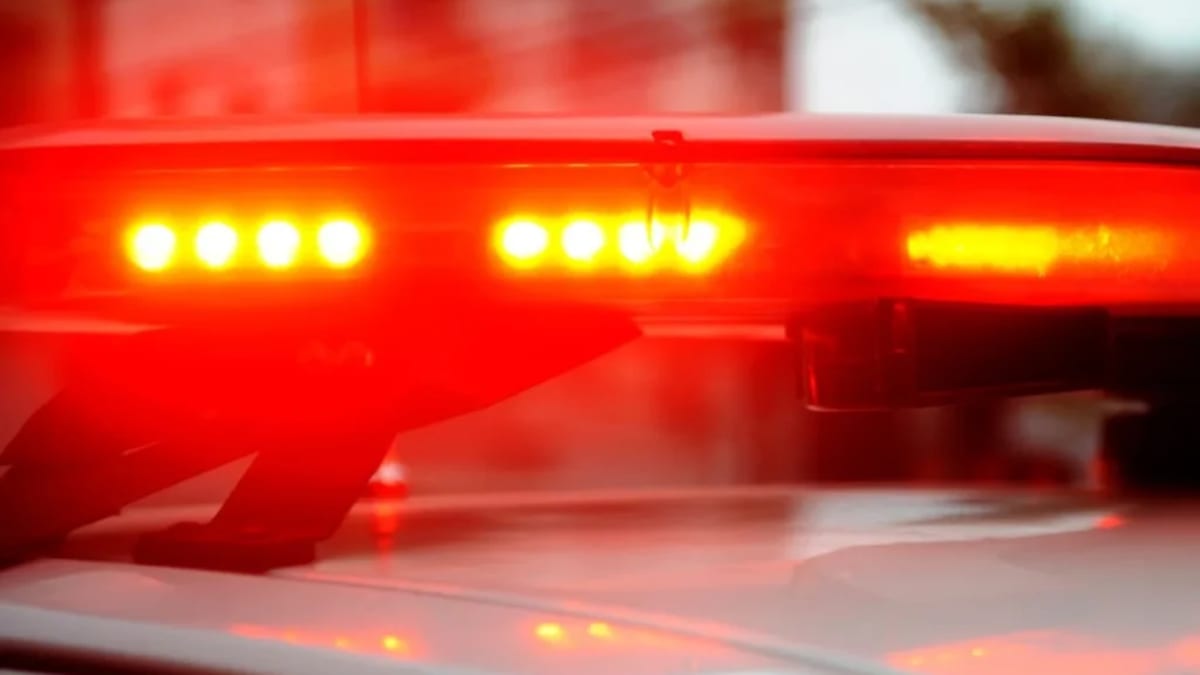 Caminhão é furtado de pátio de madeireira na margem da BR-470 em Rio do Sul