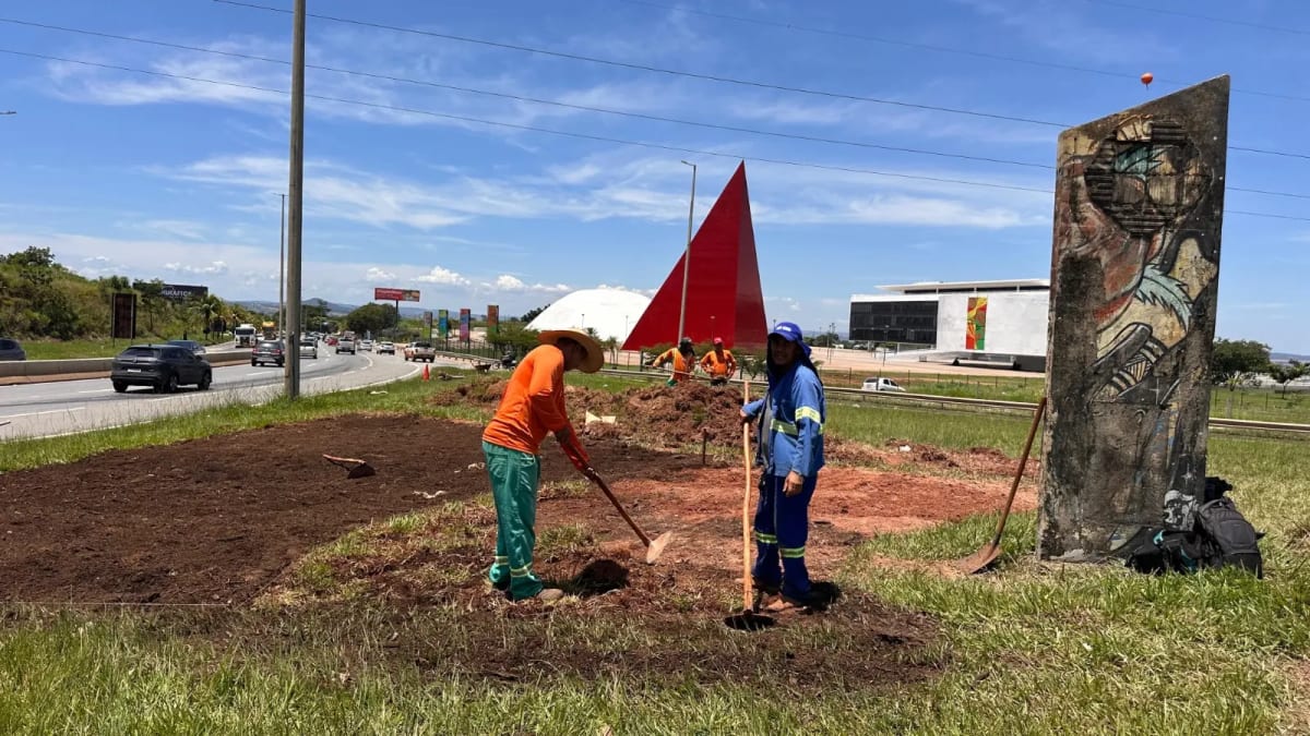 Goiânia inicia revitalização paisagística no cruzamento da BR-153 com a GO-020