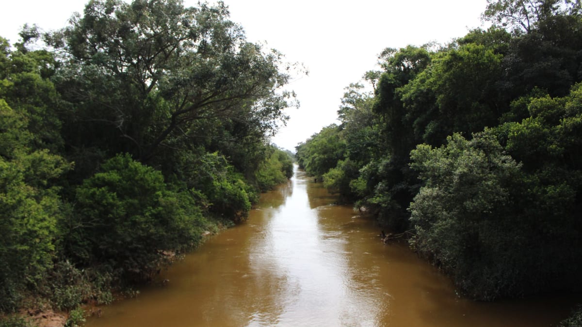 Frente Parlamentar defende limpeza e desassoreamento do Rio Urussanga