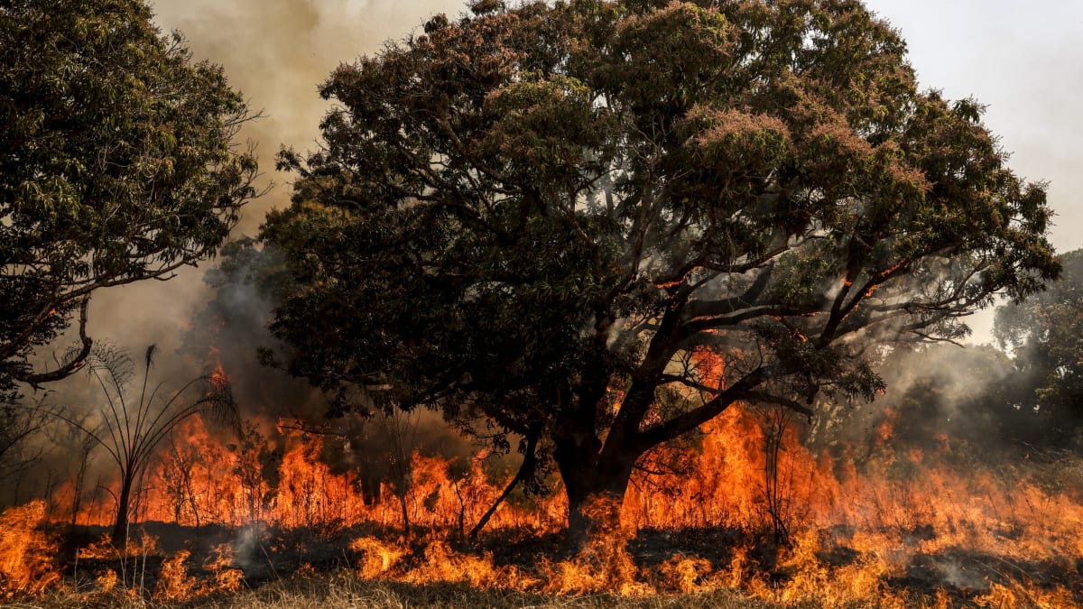 Governo federal destina R$ 150 milhões para combate a incêndios no Cerrado