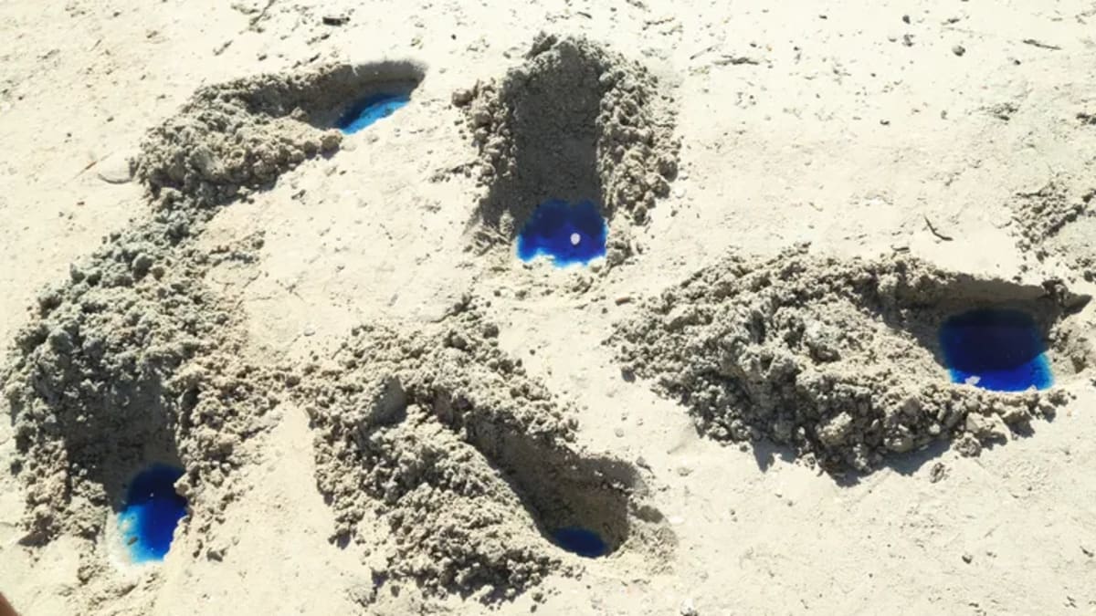 Praia de São Tomé de Paripe é interditada após identificação de líquidos contaminantes