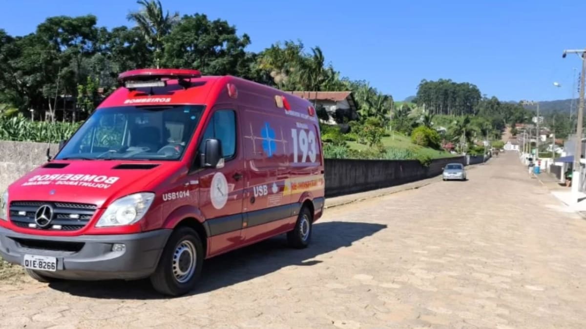 Idoso é encontrado morto após sofrer mais de 100 picadas de abelhas em SC