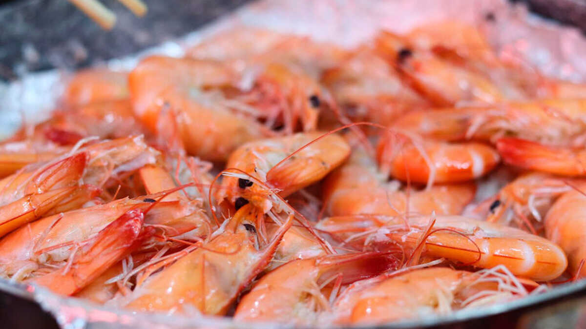 Período de defeso do camarão no litoral de São Paulo começa e seguro-defeso pode ser solicitado online