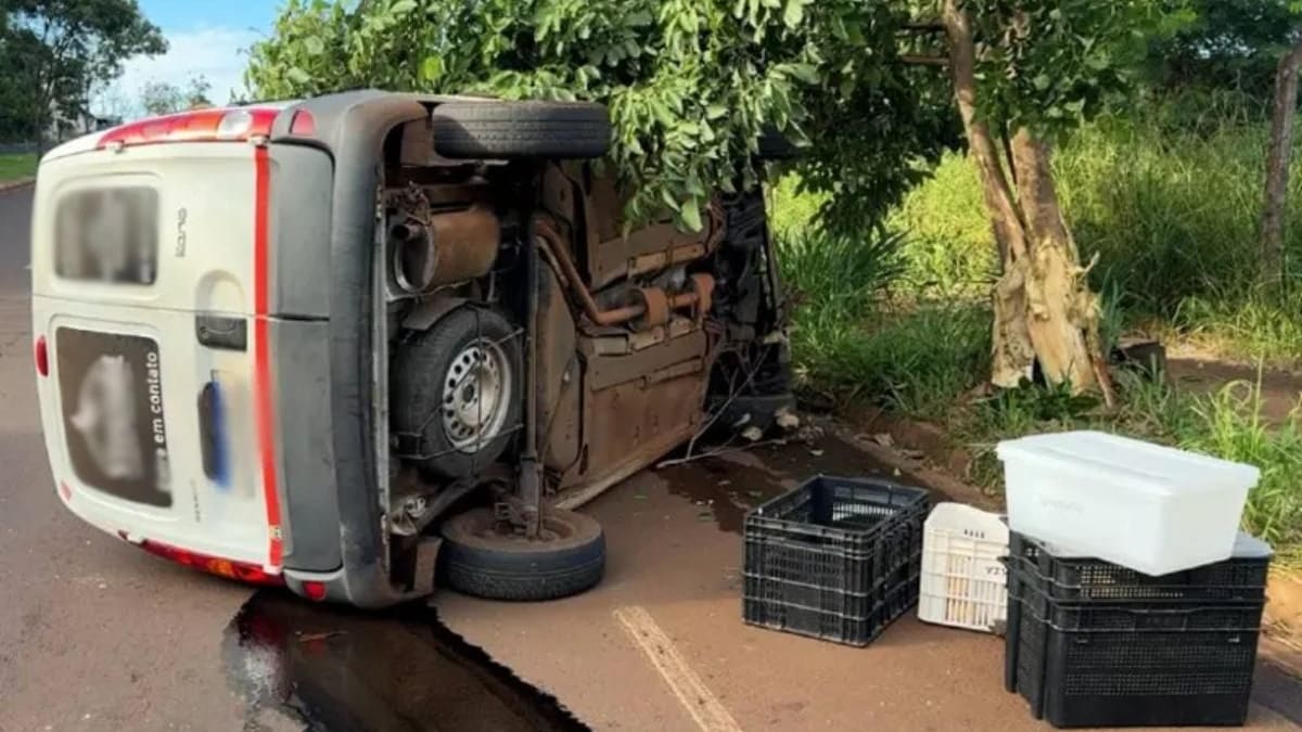 Jovem de 19 anos dorme ao volante, tomba furgão após bater em árvore e sai ileso no Paraná