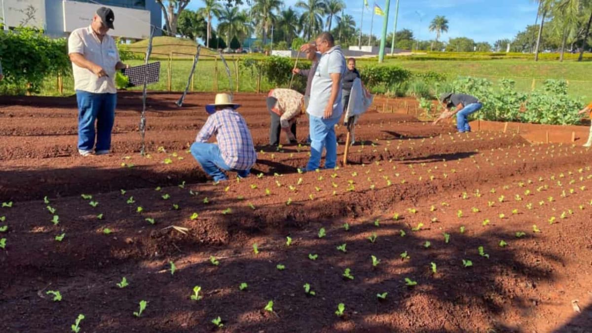 Goiânia abre inscrições para programa Renda Verde voltado a produtores rurais