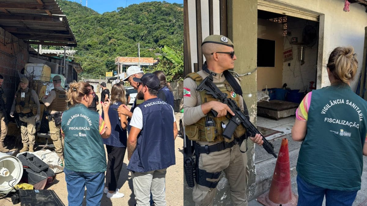 Fiscalização apreende cigarros ilegais e medicamentos irregulares em Camboriú e Balneário Camboriú