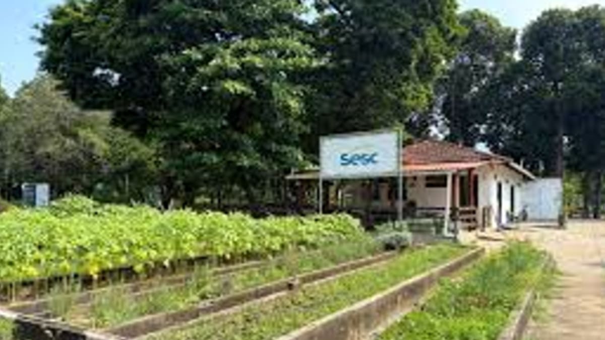 Sesc RJ oferece visitas guiadas gratuitas à Horta Agroecológica da Fazendinha na Penha