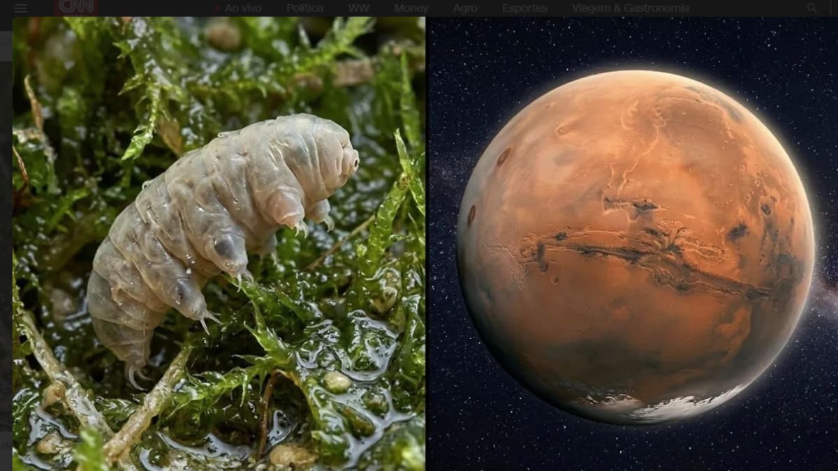 Solo marciano possui defesa química que paralisa microrganismos terrestres, indicam estudos