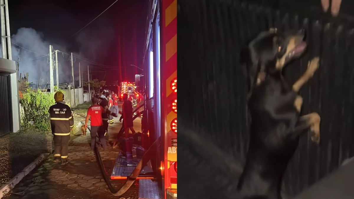 Incêndio destrói quatro casas e mobiliza resgate de 14 crianças e um cãozinho em Balneário Piçarras