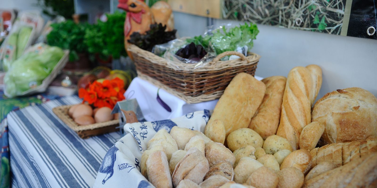 Indústria de alimentos e bebidas cresce e gera empregos