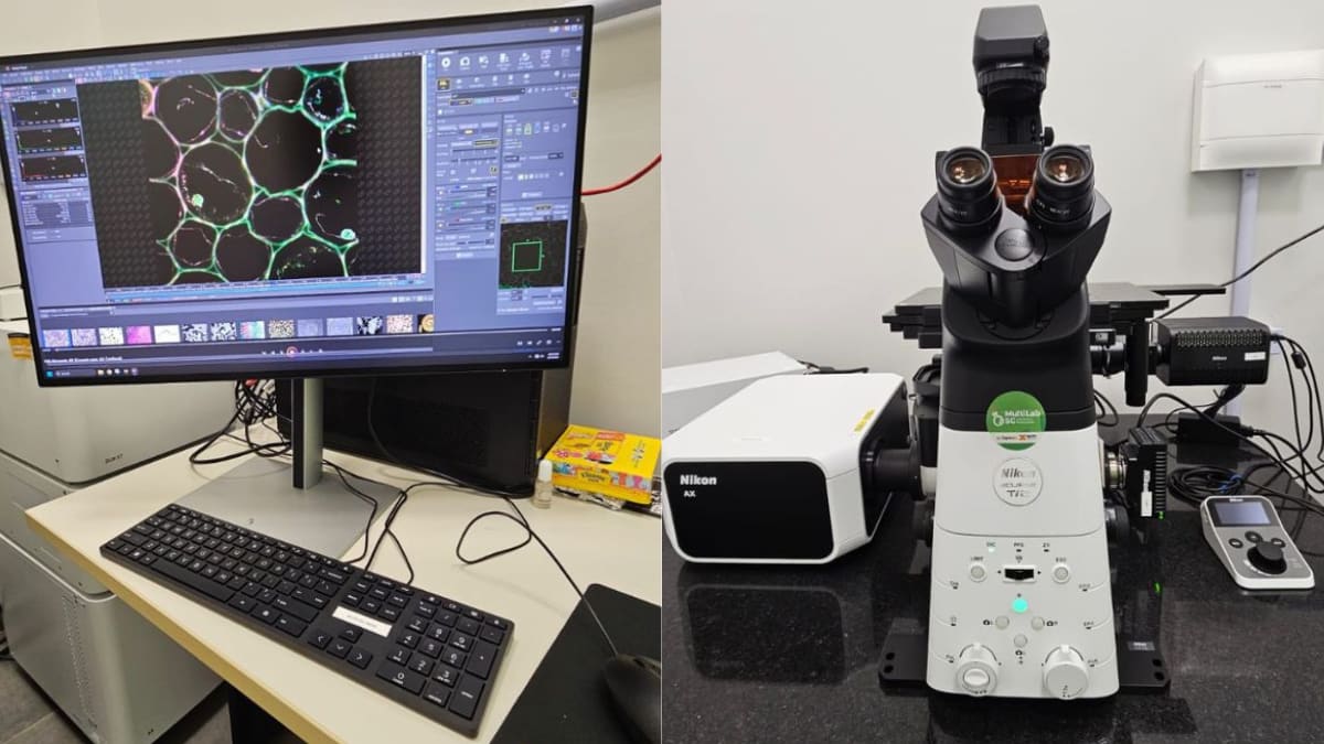 SC investe R$ 5 milhões em estrutura para pesquisas sobre câncer