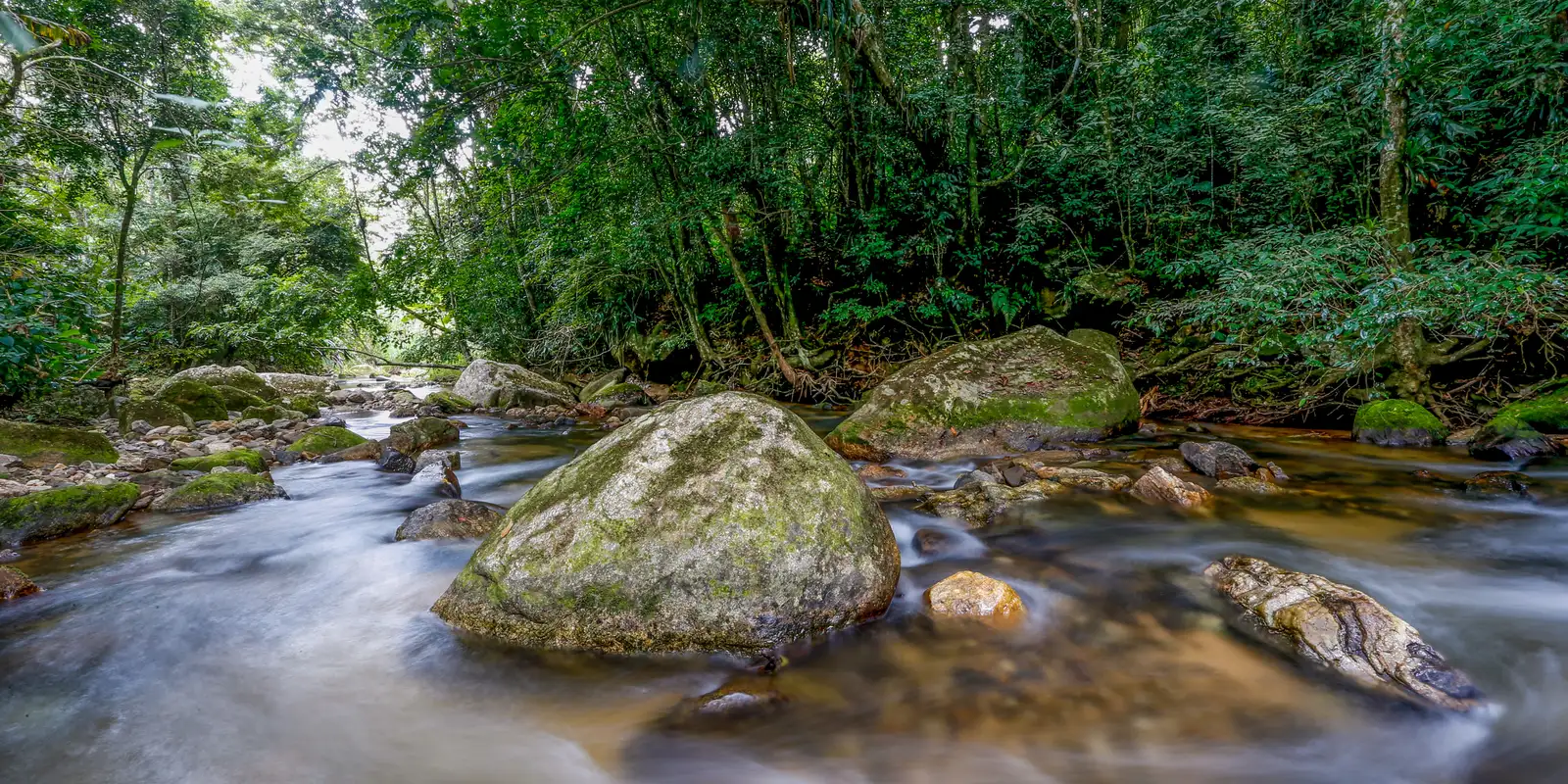Ministério apresenta Plano Decenal para fortalecer gestão ambiental