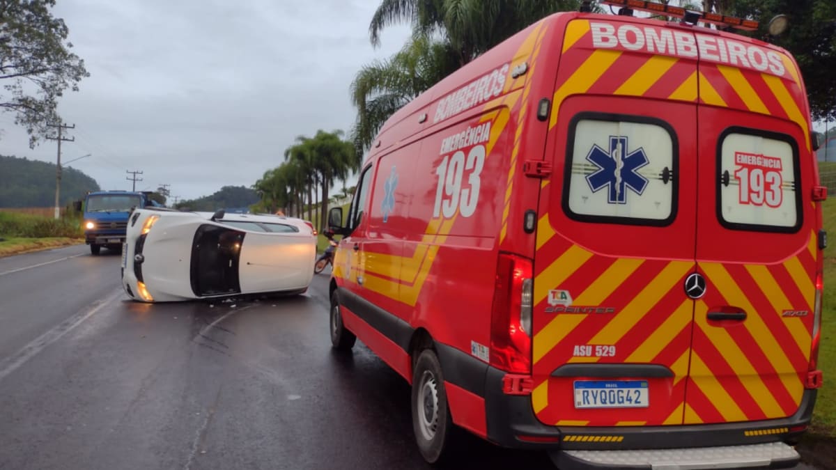 Porco cai de caminhão e provoca capotamento na SC-108 em São Ludgero