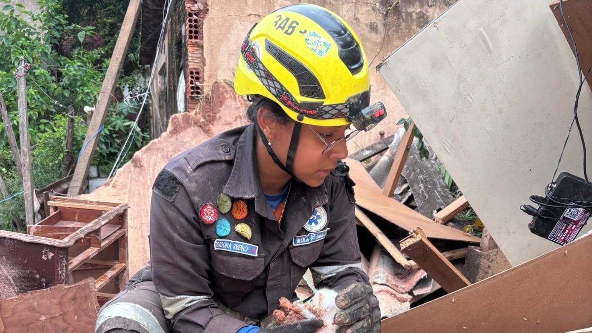 Mobilização solidária arrecada R$ 9 milhões para vítimas das chuvas na Zona da Mata mineira