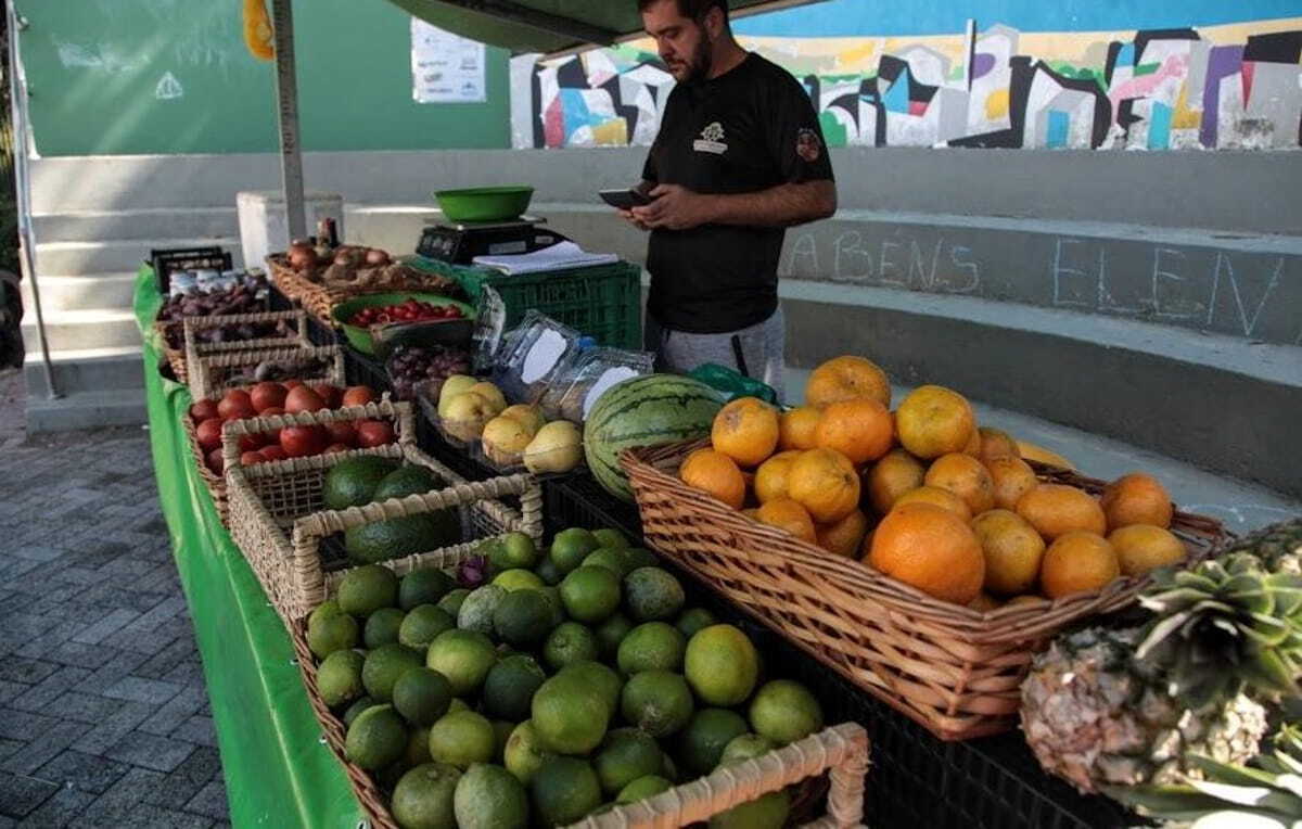 Chuvas elevam preços de verduras em feiras de Santos; sardinha é alternativa mais barata