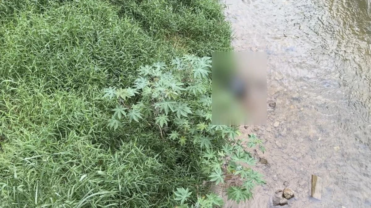 Corpo de mulher esquartejado é encontrado em rio de Major Gercino