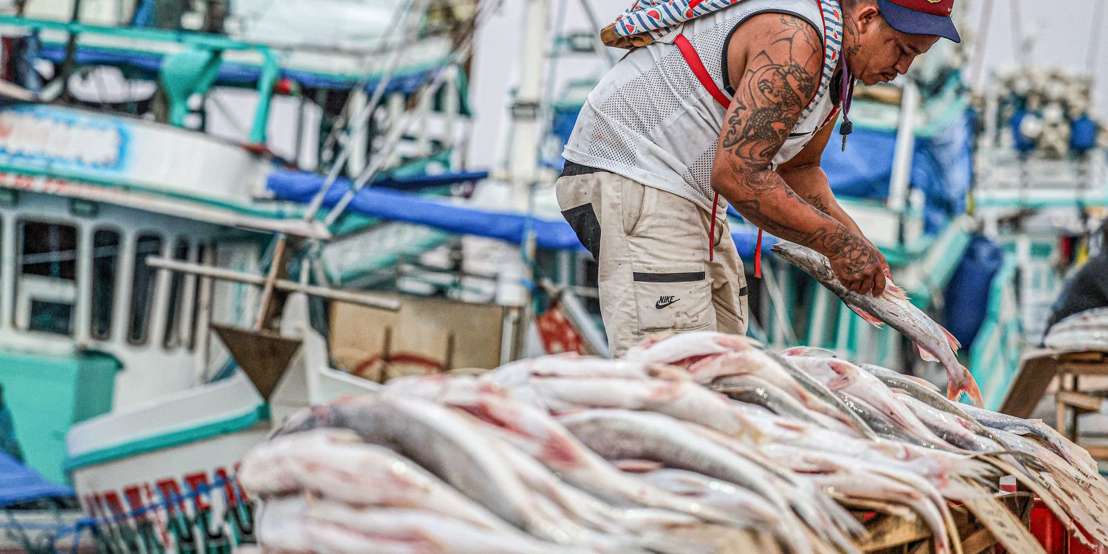 Ipem-SP alerta sobre pesagem correta de peixes na Quaresma