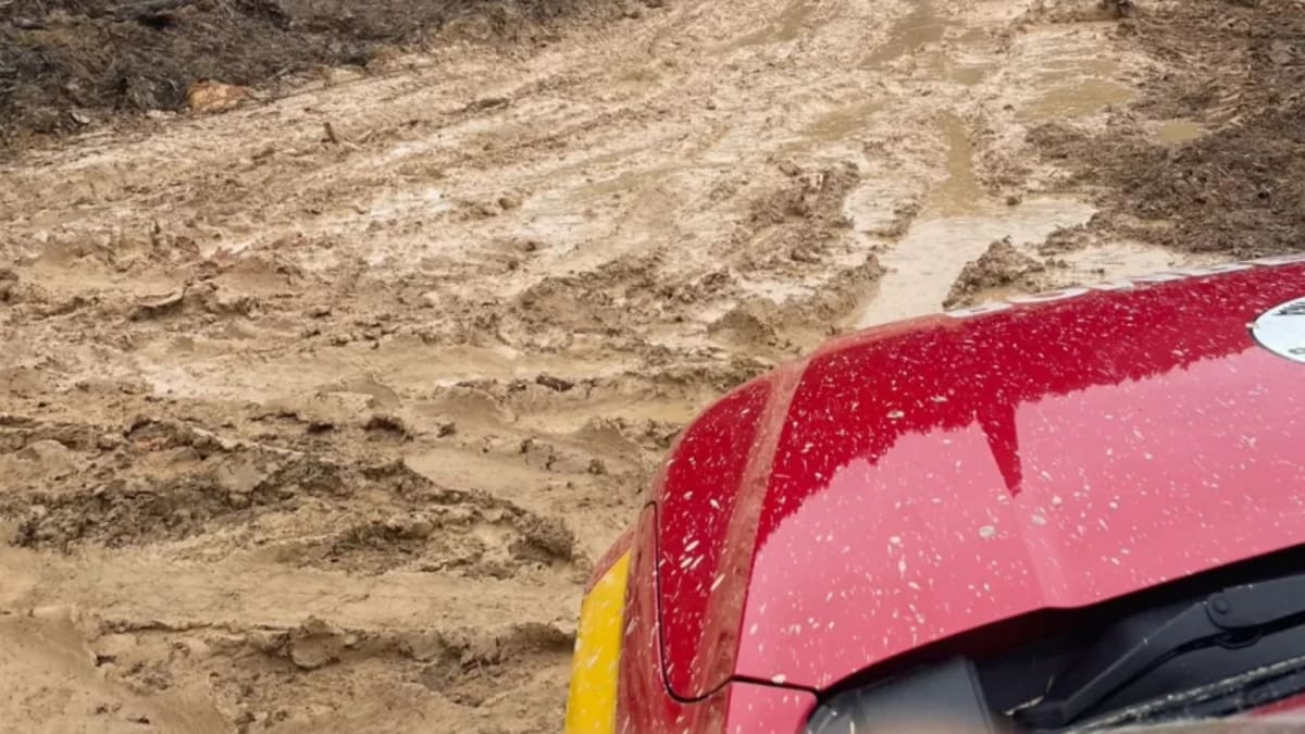 Homem é resgatado após ser atingido por árvore em área de difícil acesso em Pouso Redondo