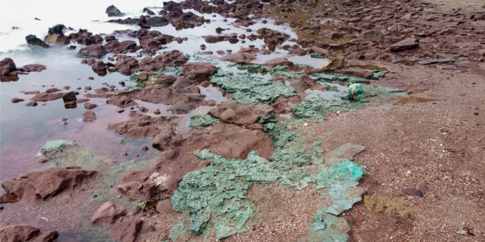 Rochas plásticas ameaçam ninhos de tartarugas na ilha de Trindade