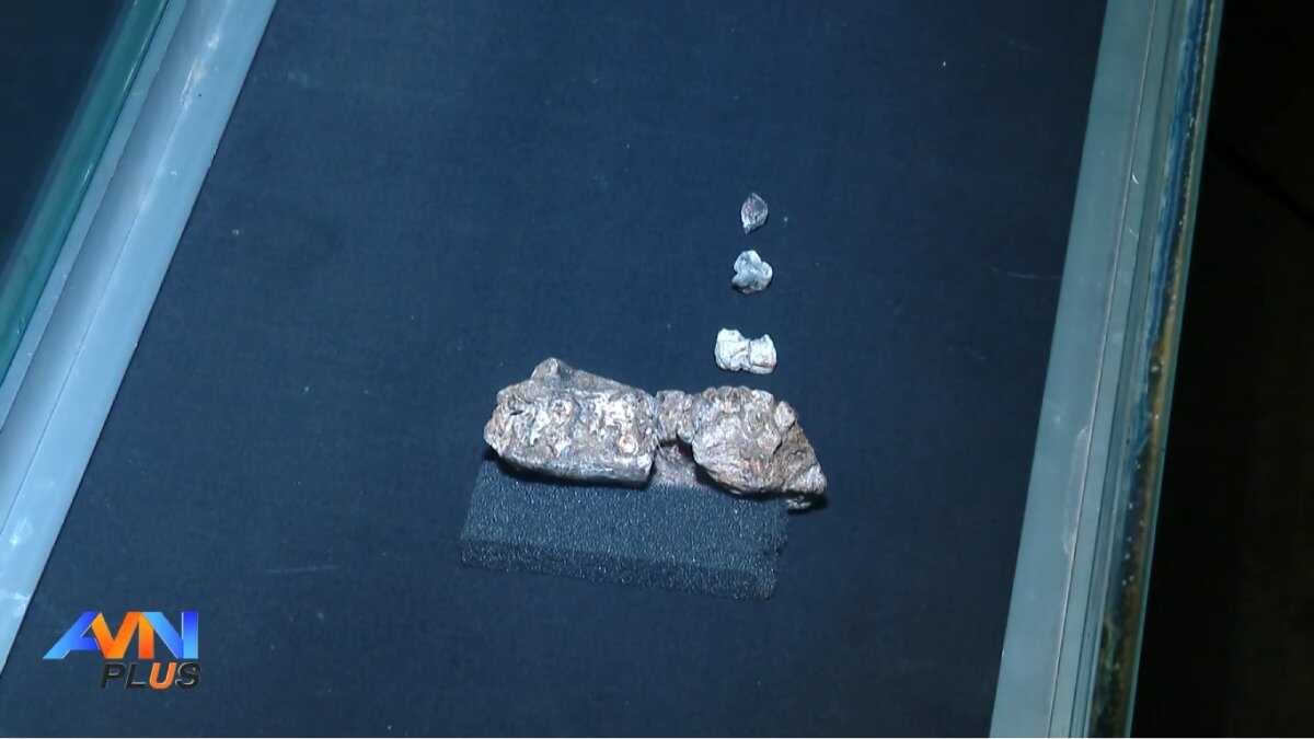 Fóssil de 2,6 milhões de anos pode reescrever história da evolução humana