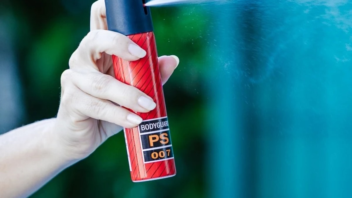 Projeto propõe fornecimento gratuito de spray de pimenta para mulheres vítimas de violência doméstica em Santa Catarina