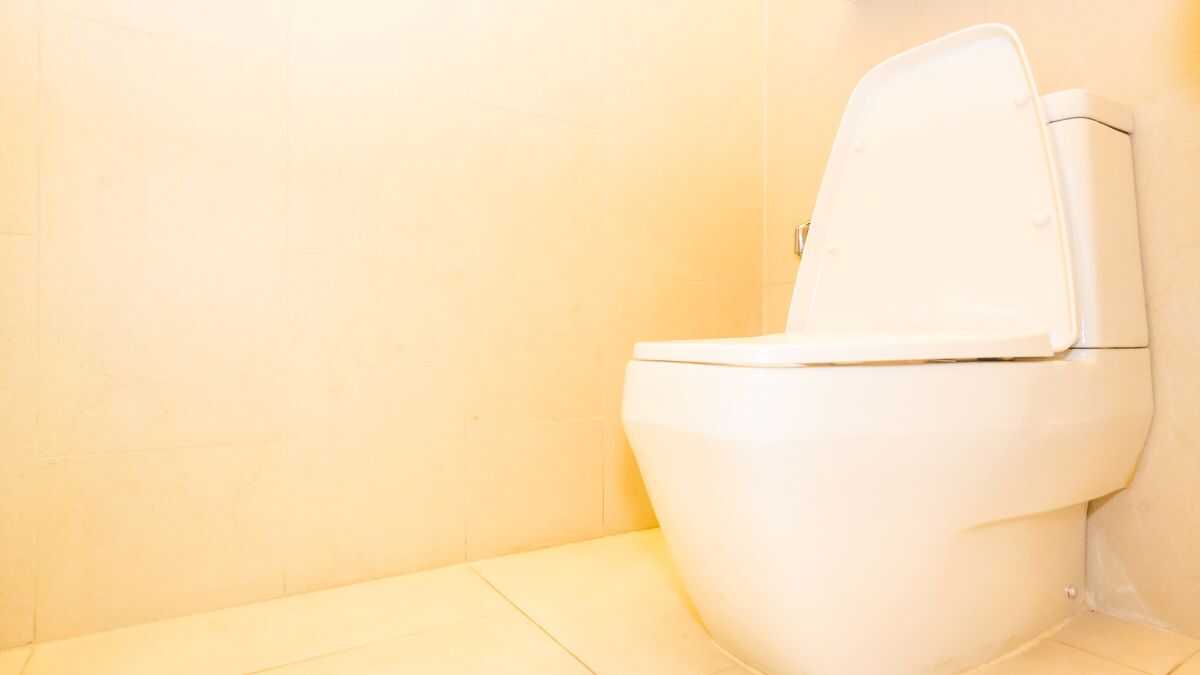 Tecnologia e tradição definem o uso dos banheiros no Japão