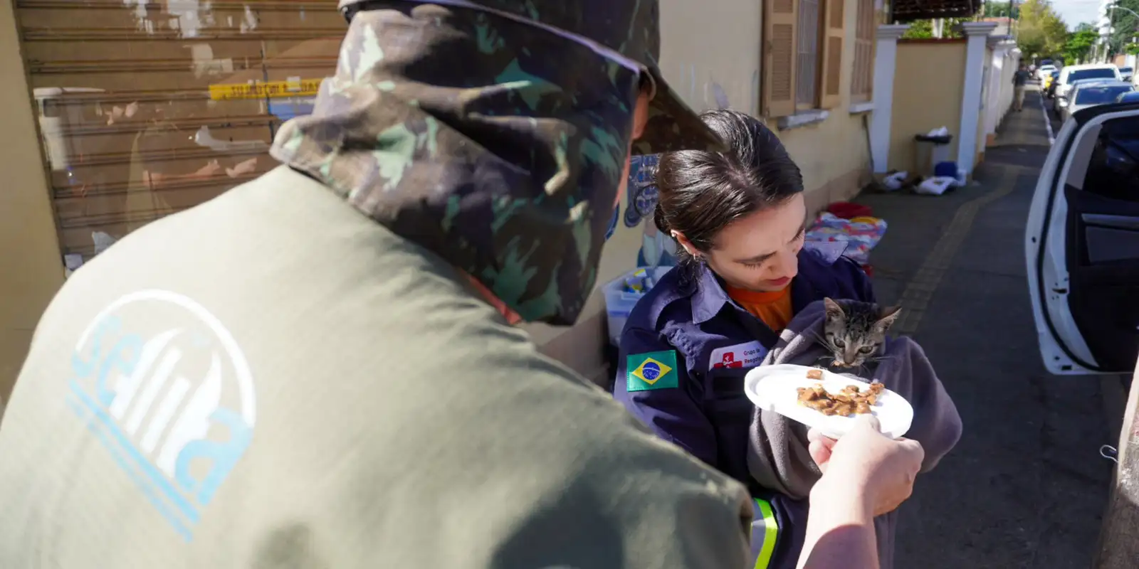 Lei Amar garante proteção a animais em desastres no Brasil