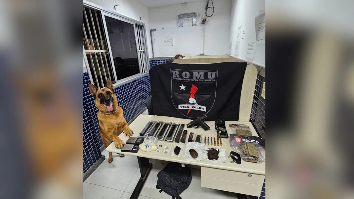 Guarda Municipal de Vila Velha apreende arsenal e R$ 30 mil em mochila infantil no João Goulart