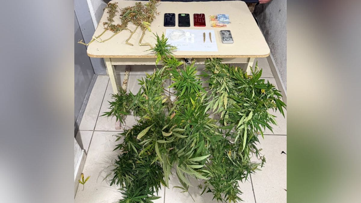 Homem é preso por tráfico de drogas após fuga e confronto em Itapema