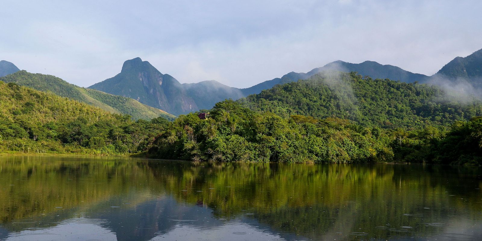 Qualidade da água dos rios da Mata Atlântica permanece precária