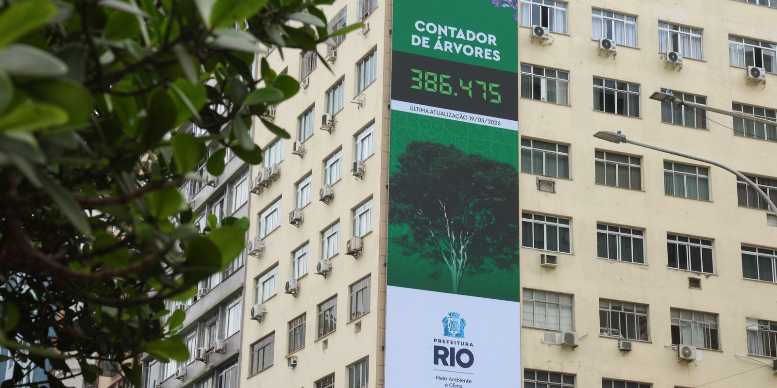 Rio de Janeiro lança painel digital para monitorar plantio de árvores