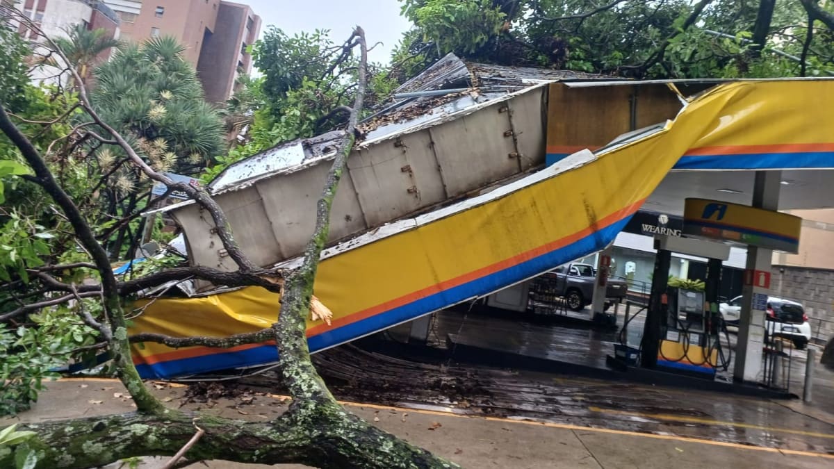 Chuva intensa causa quedas de árvores e transtornos no trânsito em Belo Horizonte