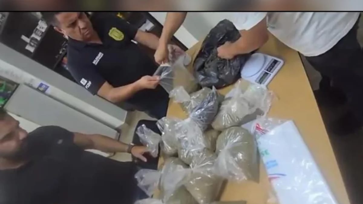 Garis encontram cerca de 20 quilos de maconha em terreno baldio na Ceilândia