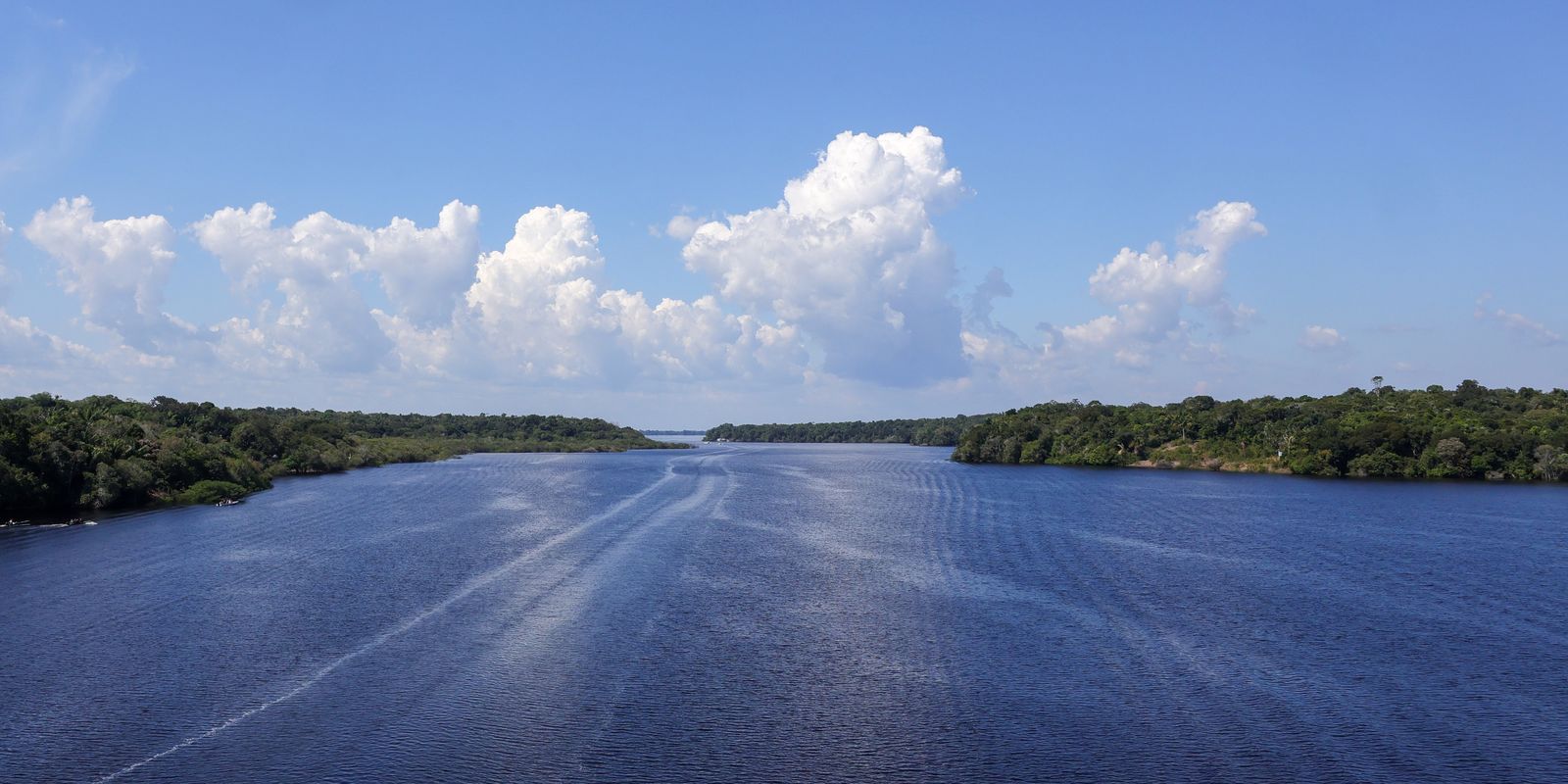 Jaraqui é Patrimônio Cultural do Amazonas