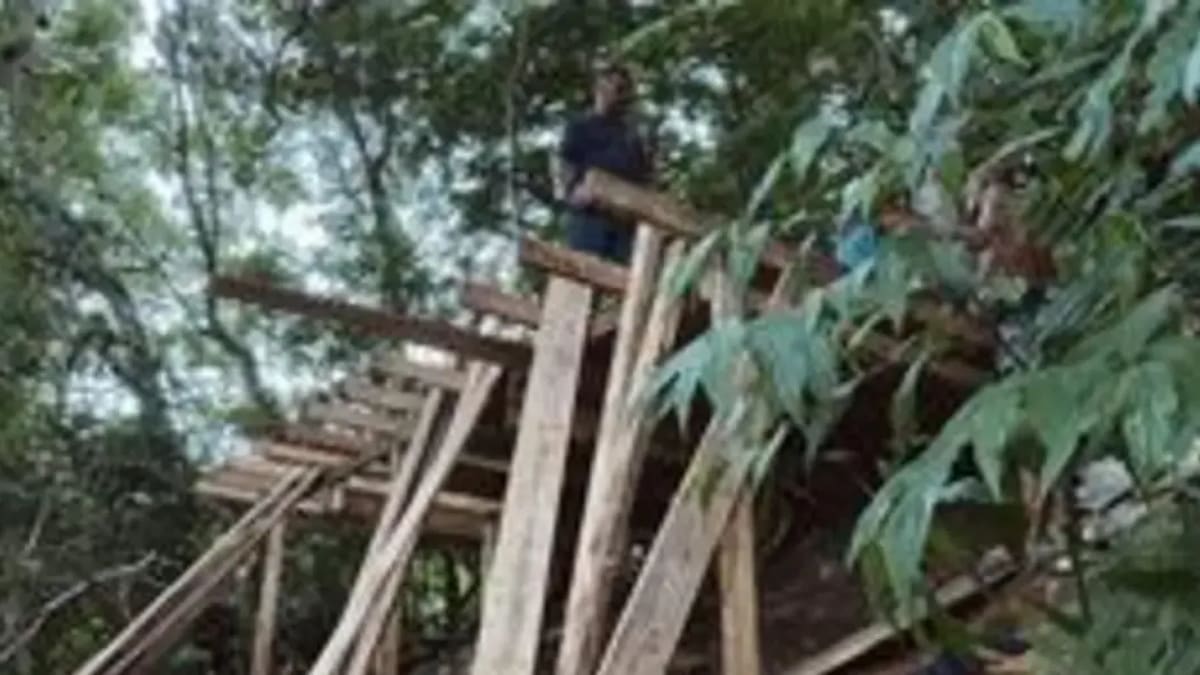 Operação remove construção irregular em área de preservação em Balneário Camboriú