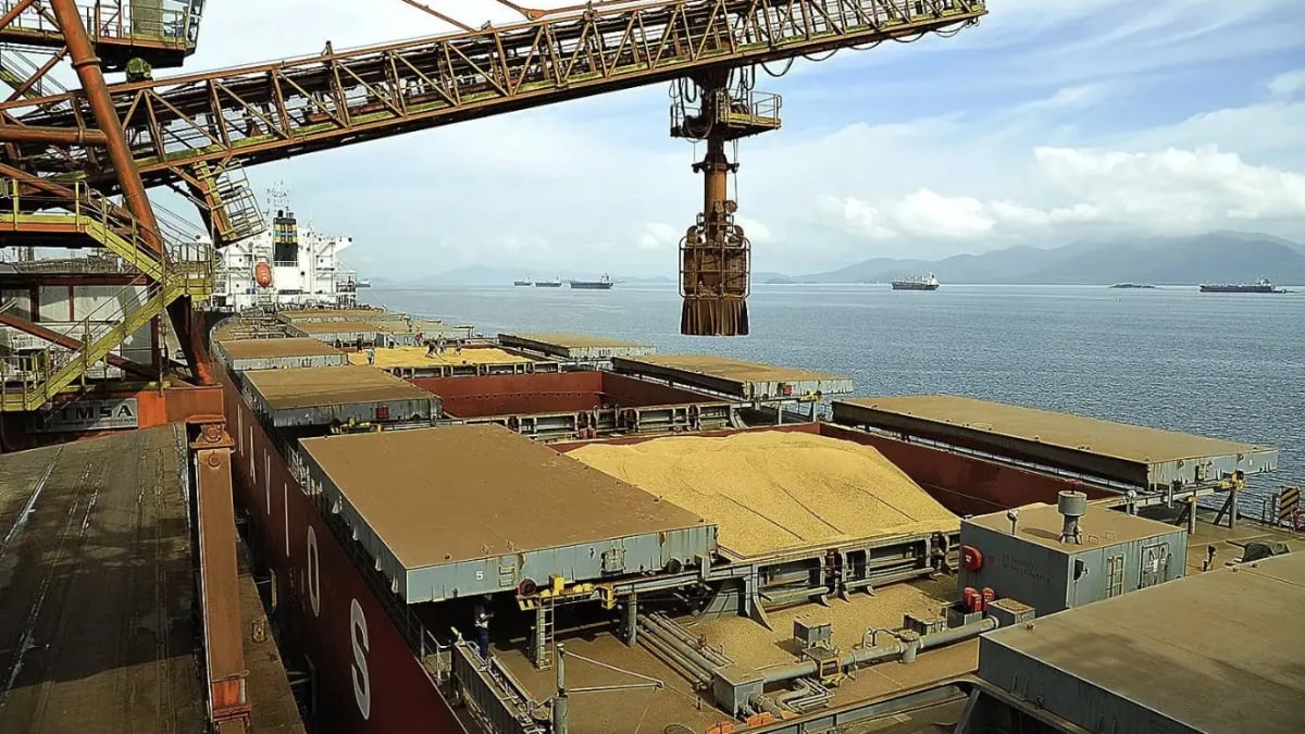 Goiás caminha para 2ª maior safra da história e mantém força nas exportações do agronegócio