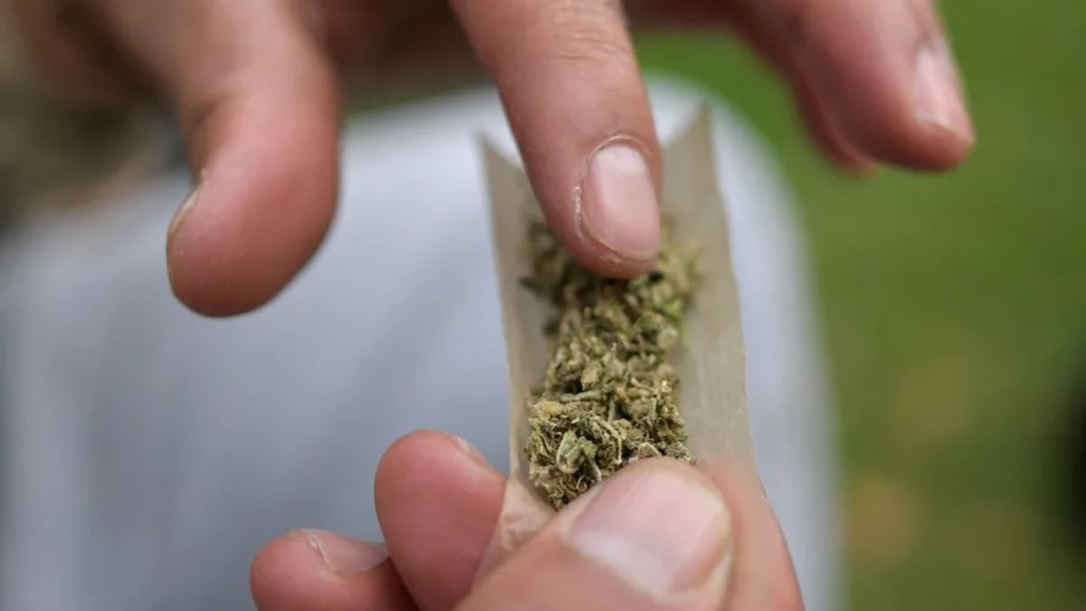 Consumo de drogas ilícitas no Brasil cresce 80% em 11 anos, impulsionado pela maconha