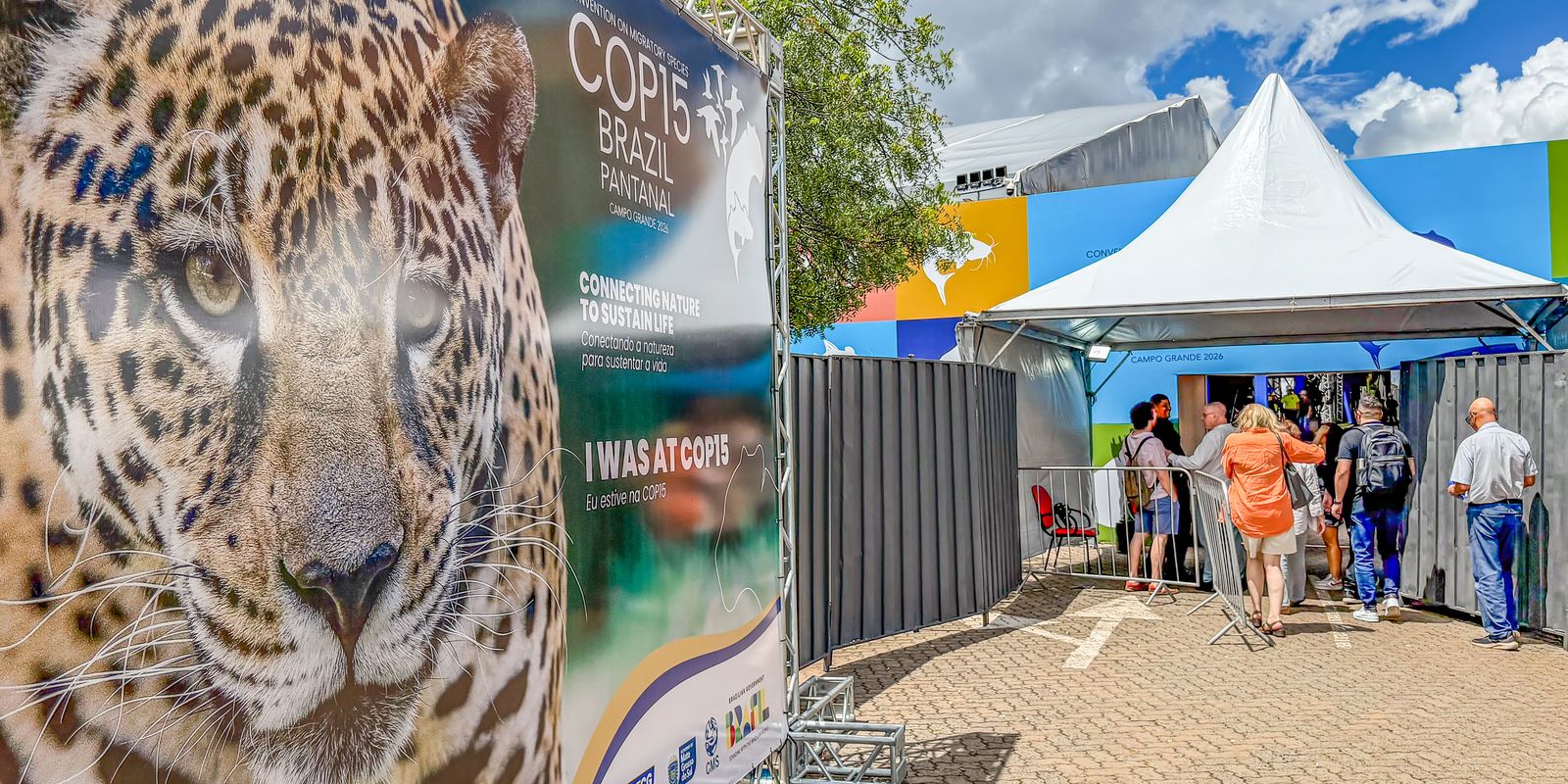 COP15 reúne líderes em Campo Grande para proteger espécies migratórias